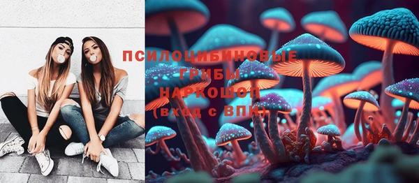 2c-b Краснотурьинск