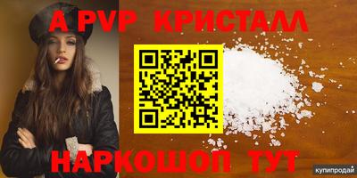 спиды Кандалакша