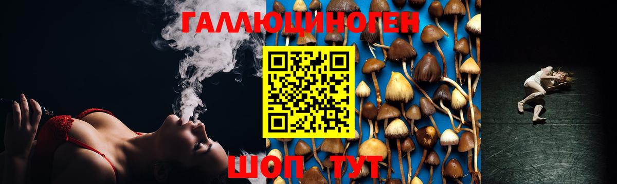 Галлюциногенные грибы Psilocybine cubensis  Псилоцибиновые грибы мухоморы  Вход с VPN  Ростов-на-Дону 
